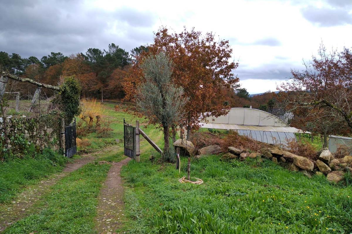 camino de entrada en la finca