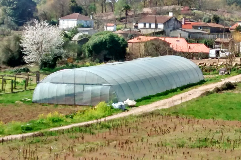 invernadero en la finca