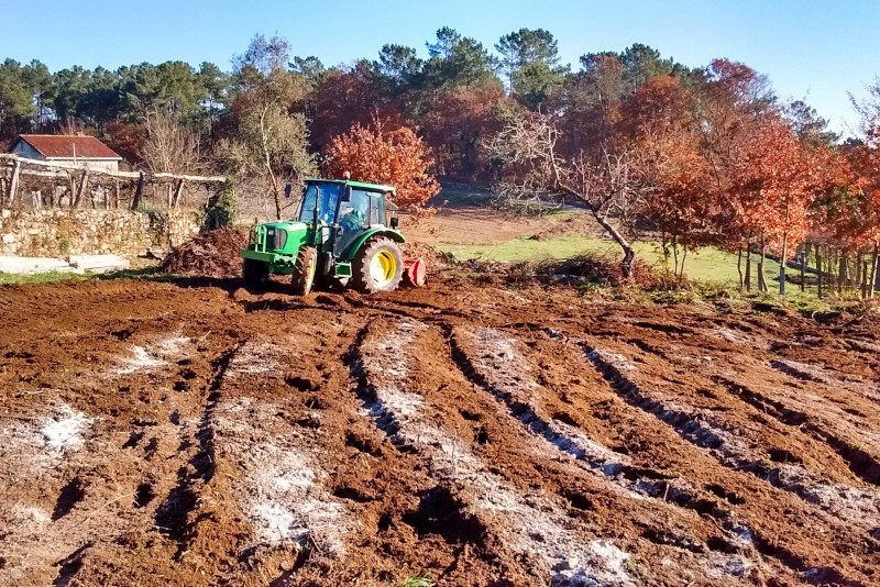 tractor arando